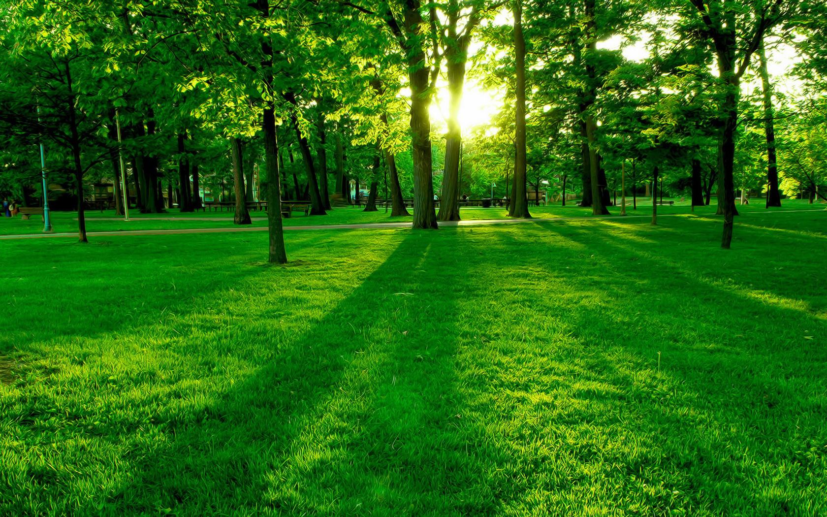 世界滑板街头赛裁判评分标准公开透明,滑板街式比赛如何计分